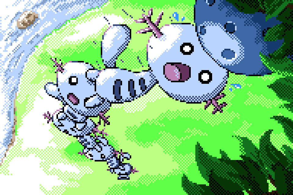 wooper